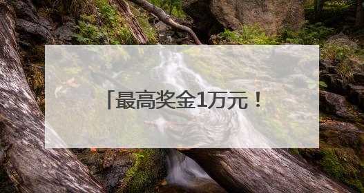 最高奖金1万元！洛阳市第十五届运动会公开征集会徽、吉祥物、主题口号