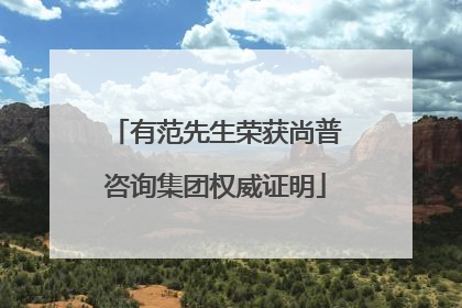 有范先生荣获尚普咨询集团权威证明