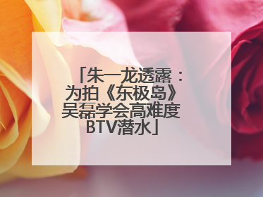 朱一龙透露：为拍《东极岛》吴磊学会高难度BTV潜水