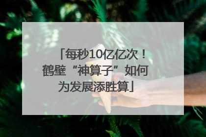 每秒10亿亿次！鹤壁“神算子”如何为发展添胜算