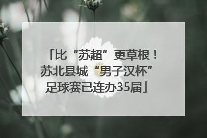 比“苏超”更草根！苏北县城“男子汉杯”足球赛已连办35届