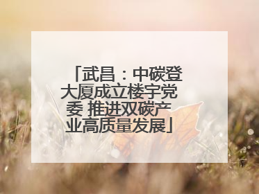 武昌：中碳登大厦成立楼宇党委 推进双碳产业高质量发展