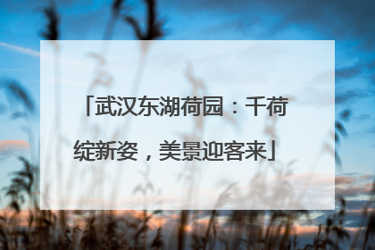 武汉东湖荷园：千荷绽新姿，美景迎客来
