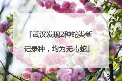 武汉发现2种蛇类新记录种，均为无毒蛇