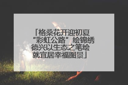 格桑花开迎初夏 “彩虹公路”绘锦绣 德兴以生态之笔绘就宜居幸福图景