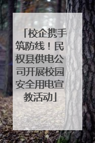 校企携手筑防线！民权县供电公司开展校园安全用电宣教活动