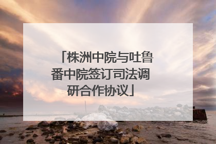 株洲中院与吐鲁番中院签订司法调研合作协议
