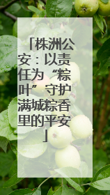 株洲公安：以责任为“粽叶”守护满城粽香里的平安