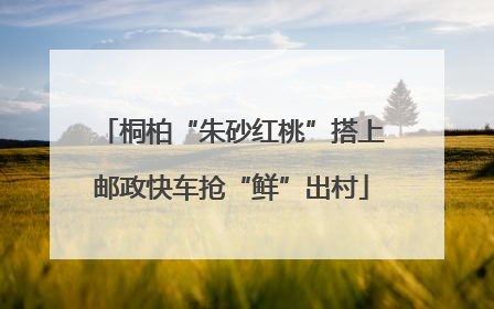 桐柏“朱砂红桃”搭上邮政快车抢“鲜”出村