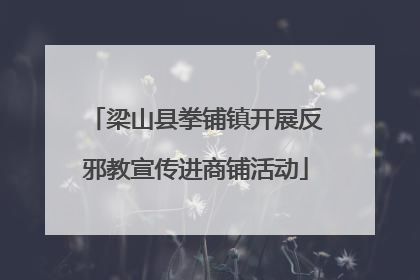 梁山县拳铺镇开展反邪教宣传进商铺活动