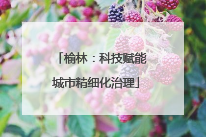 榆林：科技赋能城市精细化治理
