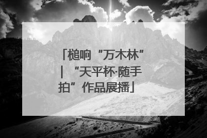 槌响“万木林”｜“天平杯·随手拍”作品展播