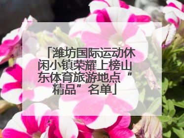 潍坊国际运动休闲小镇荣耀上榜山东体育旅游地点“精品”名单