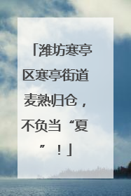 潍坊寒亭区寒亭街道麦熟归仓，不负当“夏”！