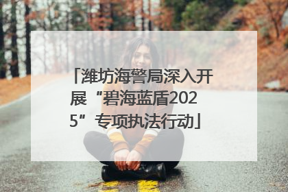 潍坊海警局深入开展“碧海蓝盾2025”专项执法行动