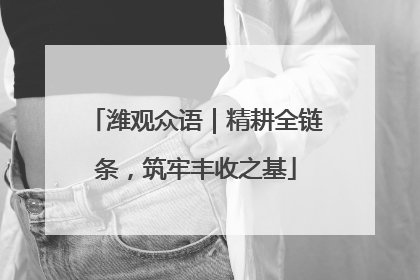 潍观众语｜精耕全链条，筑牢丰收之基