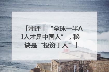 潮评丨“全球一半AI人才是中国人”，秘诀是“投资于人”