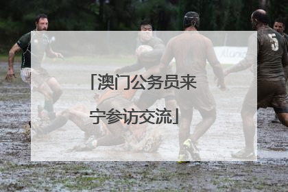 澳门公务员来宁参访交流