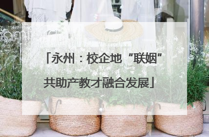 永州：校企地“联姻” 共助产教才融合发展
