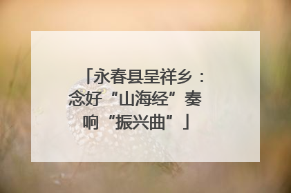 永春县呈祥乡：念好“山海经”奏响“振兴曲”