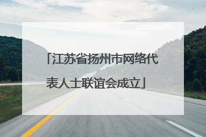 江苏省扬州市网络代表人士联谊会成立