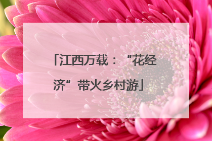 江西万载：“花经济”带火乡村游