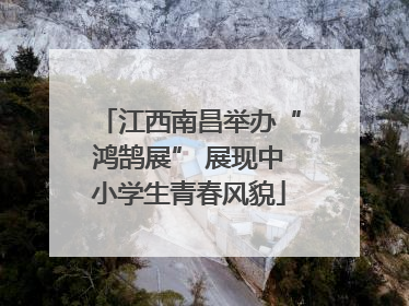 江西南昌举办“鸿鹄展” 展现中小学生青春风貌