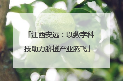 江西安远：以数字科技助力脐橙产业腾飞