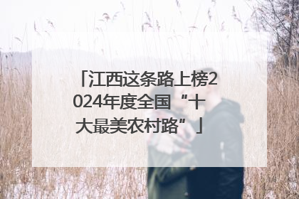 江西这条路上榜2024年度全国“十大最美农村路”