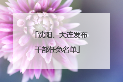 沈阳、大连发布干部任免名单