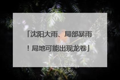 沈阳大雨、局部暴雨！局地可能出现龙卷
