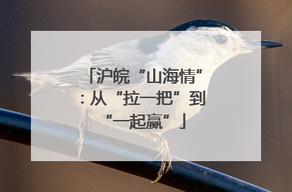 沪皖“山海情”：从“拉一把”到“一起赢”