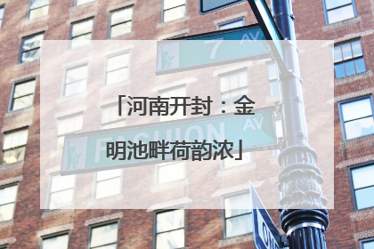 河南开封：金明池畔荷韵浓