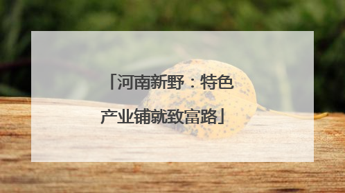 河南新野：特色产业铺就致富路