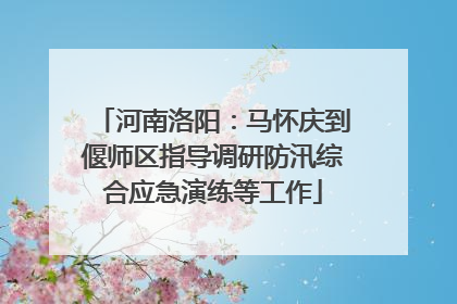 河南洛阳：马怀庆到偃师区指导调研防汛综合应急演练等工作