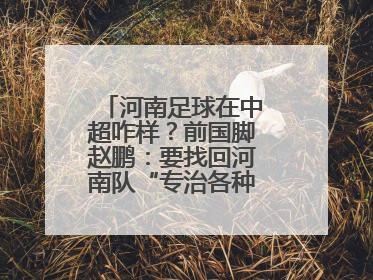 河南足球在中超咋样？前国脚赵鹏：要找回河南队“专治各种不服”的精神