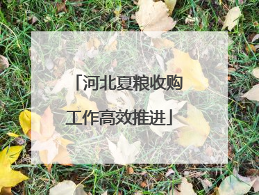 河北夏粮收购工作高效推进