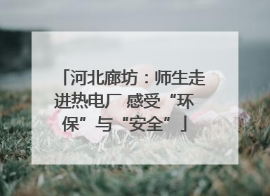 河北廊坊：师生走进热电厂 感受“环保”与“安全”