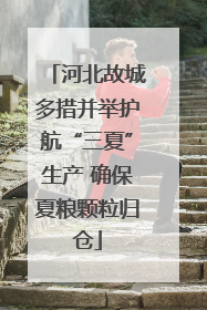 河北故城多措并举护航“三夏”生产 确保夏粮颗粒归仓