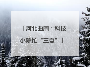 河北曲周：科技小院忙“三夏”