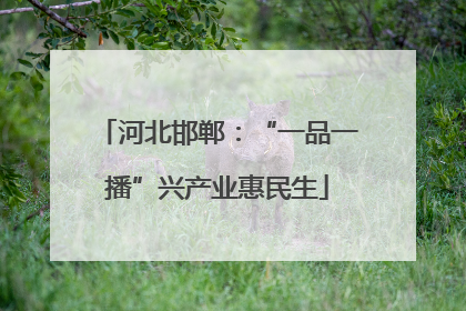 河北邯郸：“一品一播”兴产业惠民生