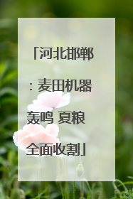 河北邯郸：麦田机器轰鸣 夏粮全面收割
