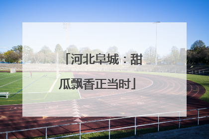 河北阜城：甜瓜飘香正当时