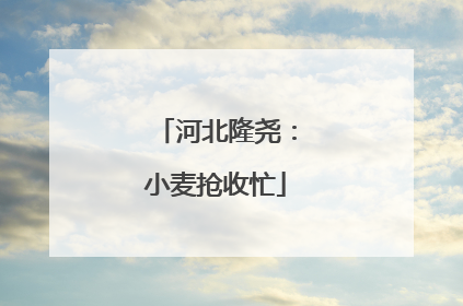河北隆尧：小麦抢收忙