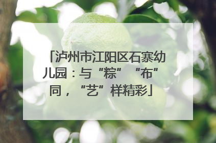 泸州市江阳区石寨幼儿园：与“粽”“布”同，“艺”样精彩