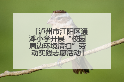 泸州市江阳区通滩小学开展“校园周边环境清扫”劳动实践志愿活动
