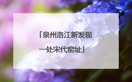 泉州洛江新发现一处宋代窑址