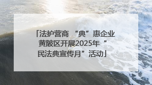 法护营商 “典”惠企业 黄陂区开展2025年“民法典宣传月”活动