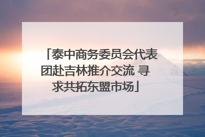 泰中商务委员会代表团赴吉林推介交流 寻求共拓东盟市场