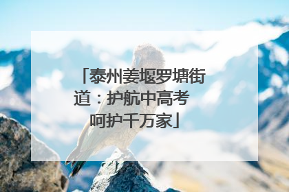 泰州姜堰罗塘街道：护航中高考 呵护千万家